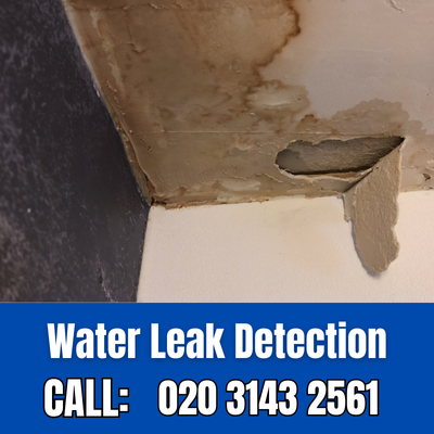 Expert Water Leak Detection Services in Hersham | Hersham Leak Detection